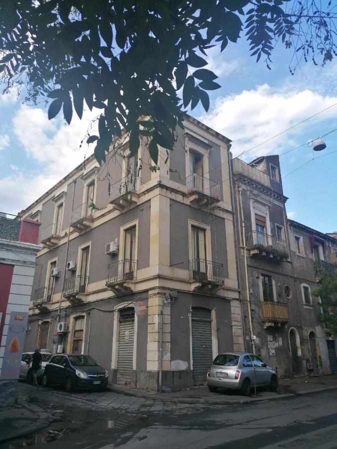 Casanuvo